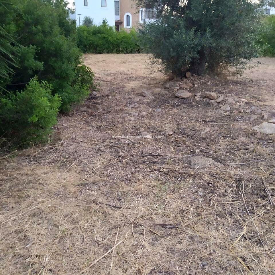 Main image of property: Balearic Islands, Ibiza