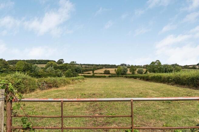 View From Plot