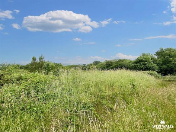 IMG_5007.jpg