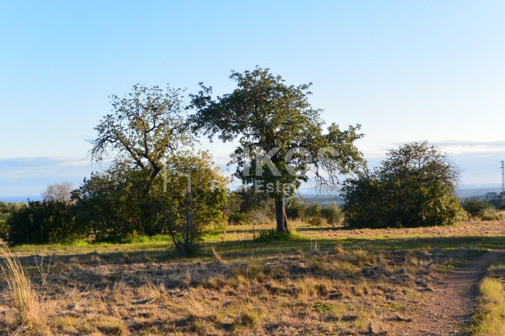 Main image of property: Avola, Syracuse, Sicily