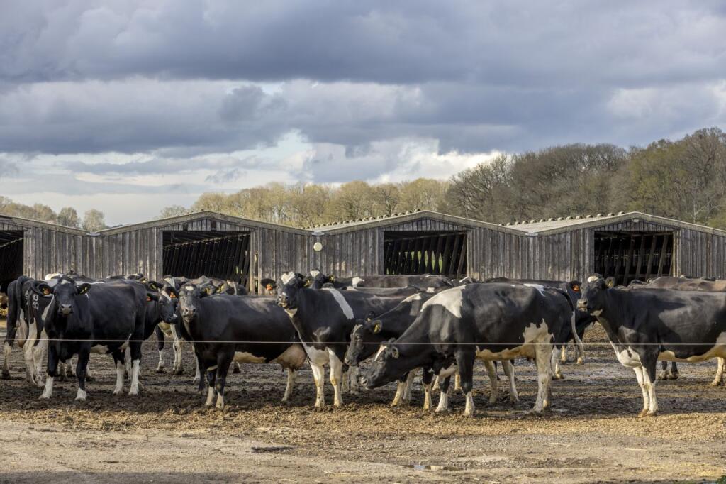 Blandys Farm