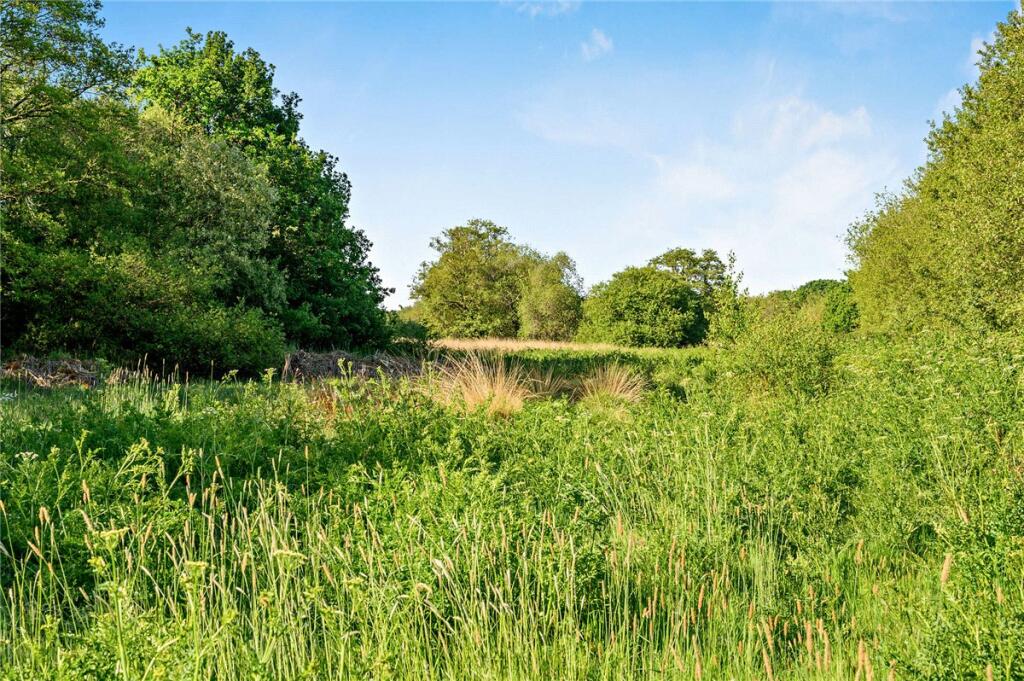 Ashley Heath, Ringwood, Dorset, BH24 - View 4