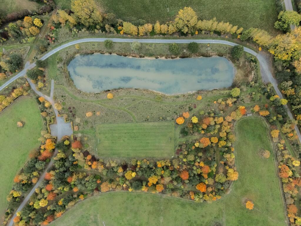 Re-Wilded Parkland