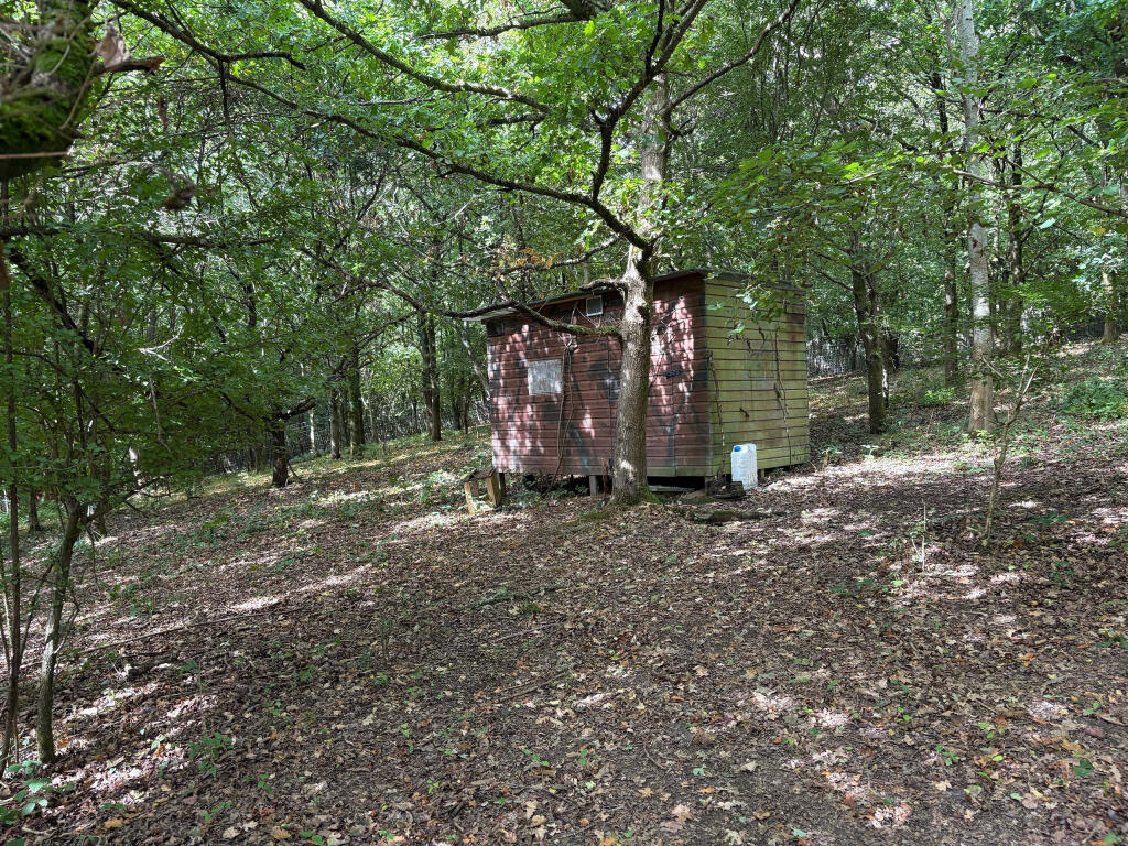 Land Lying to the South West of Hamsell Manor Lodge, Groombridge Lane, Tunbridge Wells, TN3 9LE - More