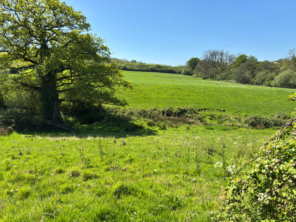  Capel Dewi, Carmarthen, SA32 photo 3