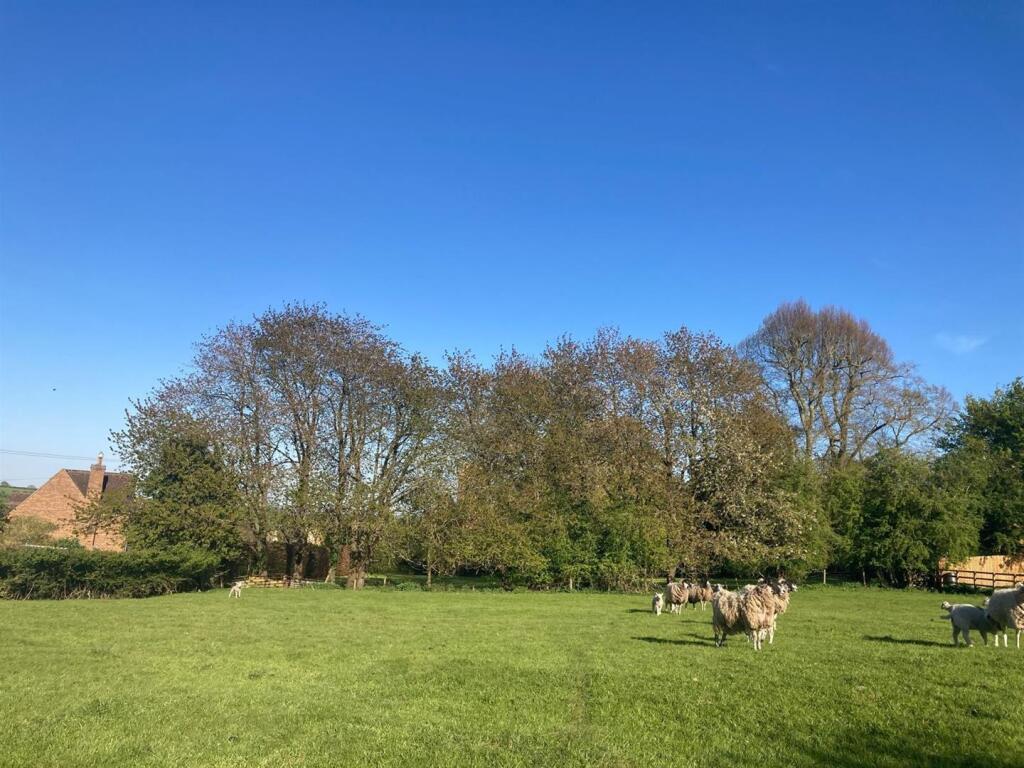 The Village Paddock at Bisbrooke, Rutland - about 1.15 acres - View 5