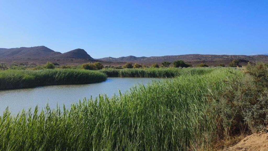 Main image of property: Western Cape, Ladismith