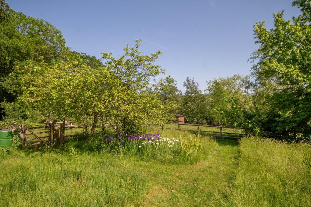 House in Haywards Heath, Ashdown Forest, Horsted Keynes - More