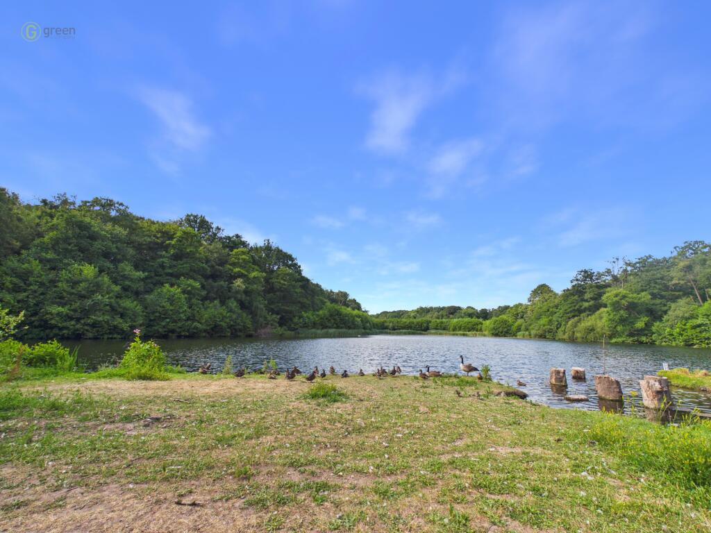 Duckery Wood Walk, Great Barr, B43 - View 2