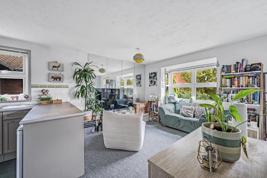 Studio flat for rent
