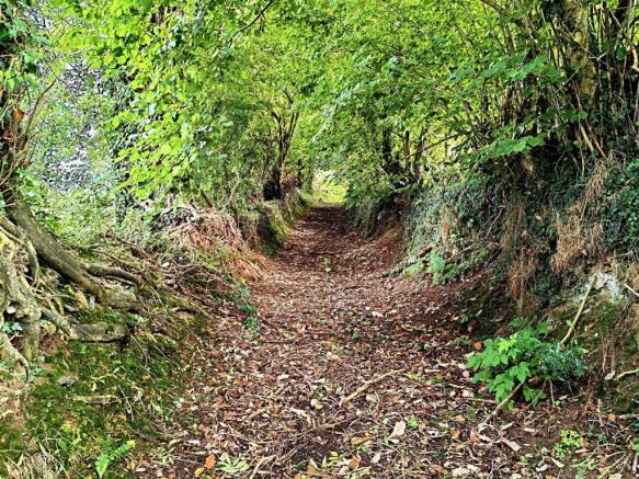 Track up to top Land and Orchards