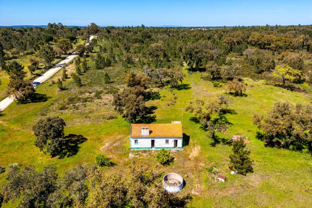 Main image of property: Ribatejo, Coruche