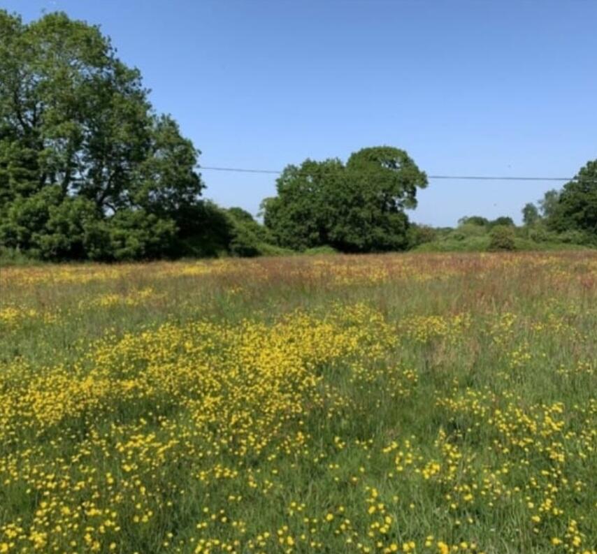 Powder Mill Lane, Tunbridge Wells, Kent, TN4 - More