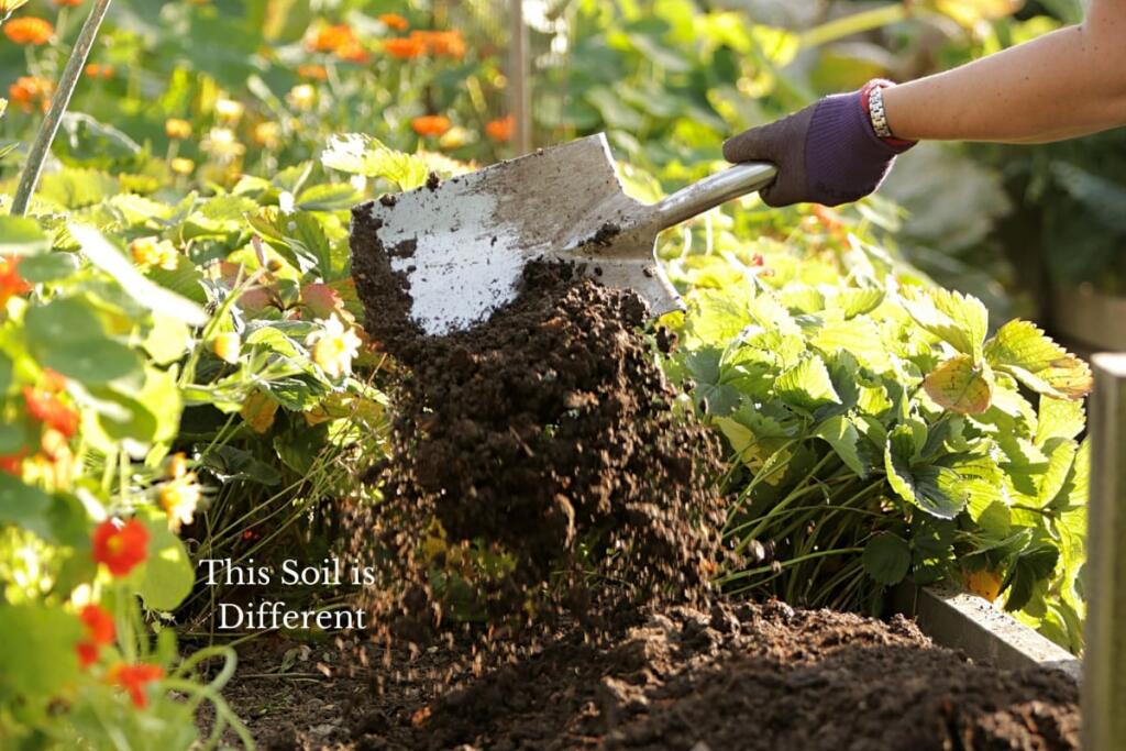 Additional image 12 of Forget Me Not Farm, Earlswood, B94