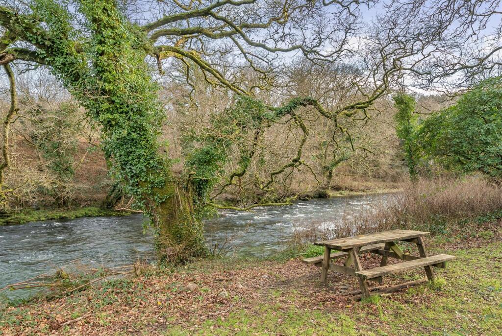 Bere Peninsula, West Devon photo 4