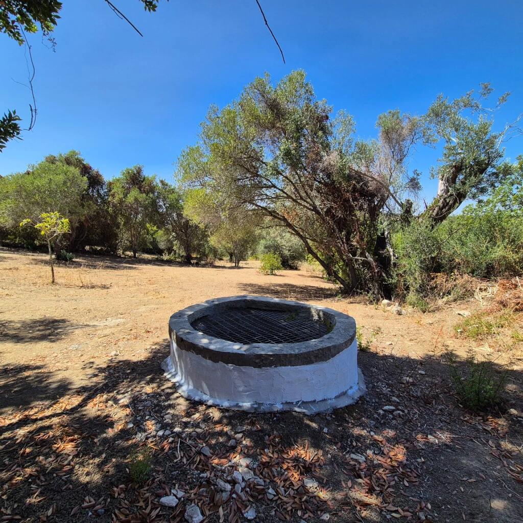 Main image of property: Portugal