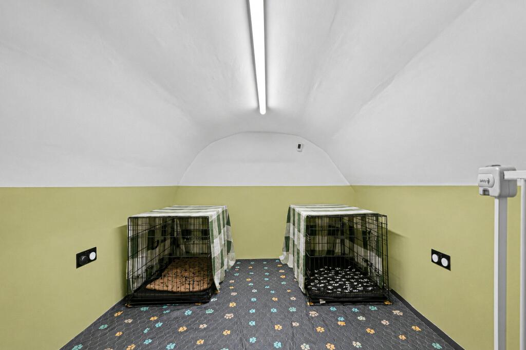 pet room.jpg
