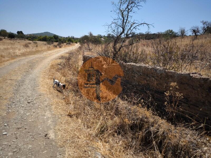 Main image of property: Algarve, Alcoutim