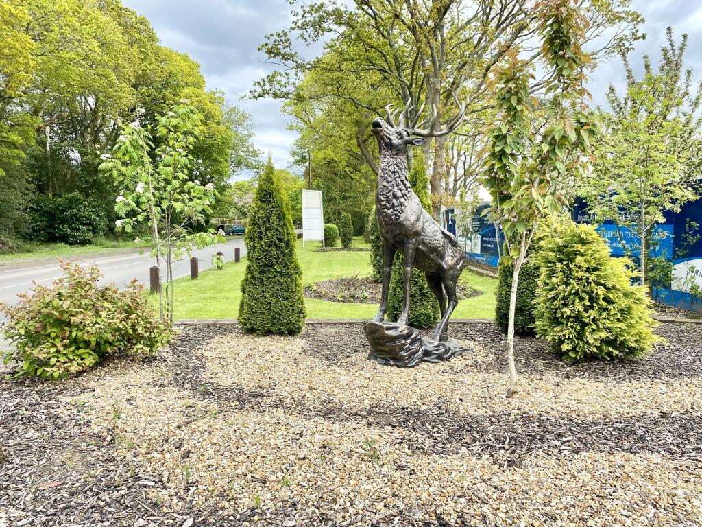 Deer's Court, Horton Road, Three Legged Cross, BH21 photo 3