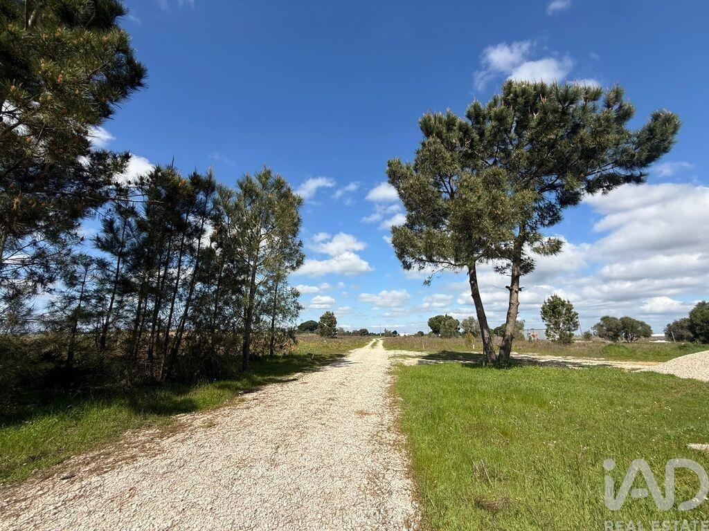 Main image of property: Setúbal, Palmela