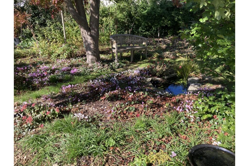 Additional image 26 of West Park, Butleigh, BA6