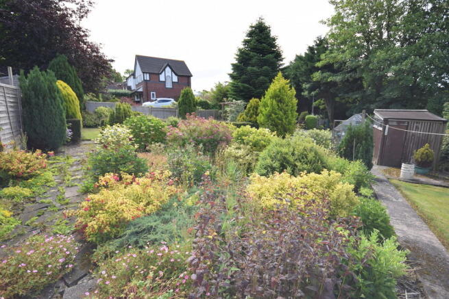 PLANTED AREA