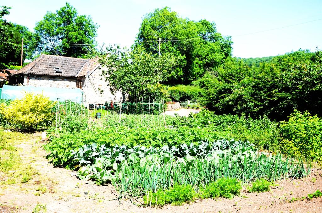 Additional image 32 of Kennel Batch, Wookey Hole, Wells
