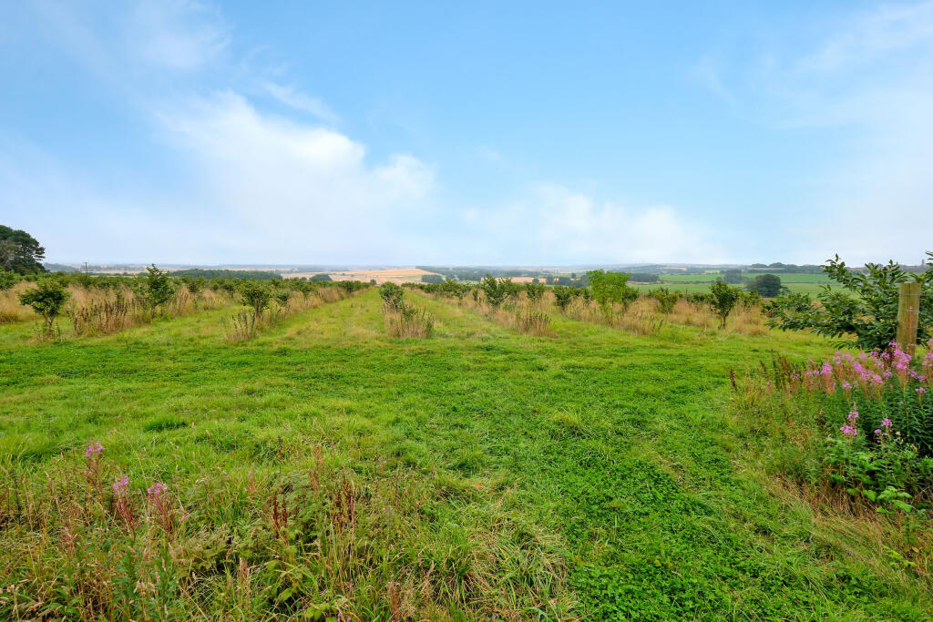 Land & Building at Greystone, Oldmeldrum photo 5