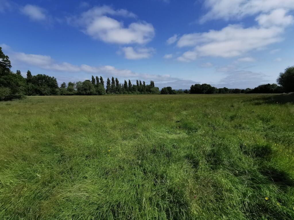 Additional image 7 of Site for 90 dwellings off Lowerside Lane, with outline planning consent, Glastonbury, BA6