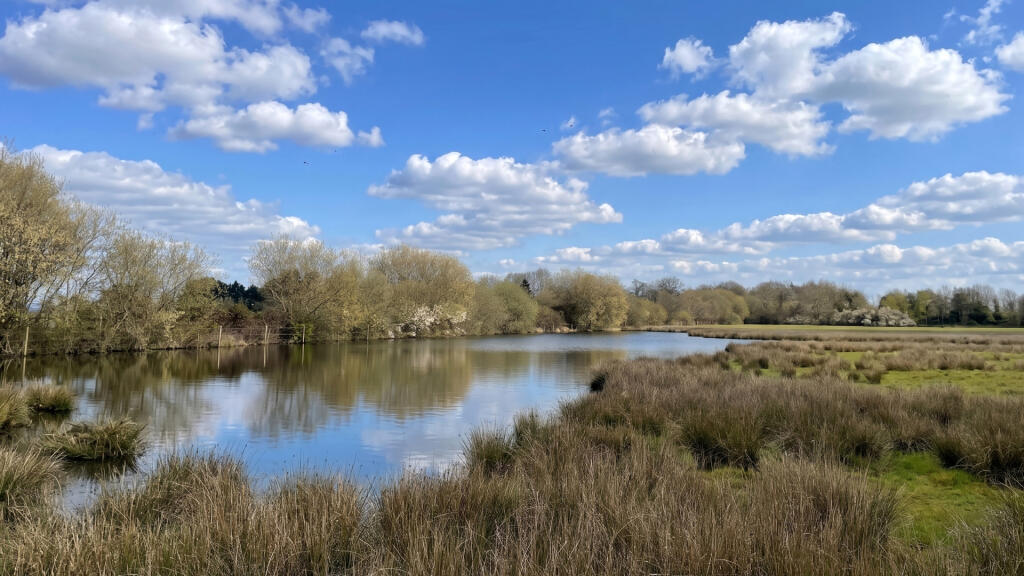Land with a large, natural rainwater pond.