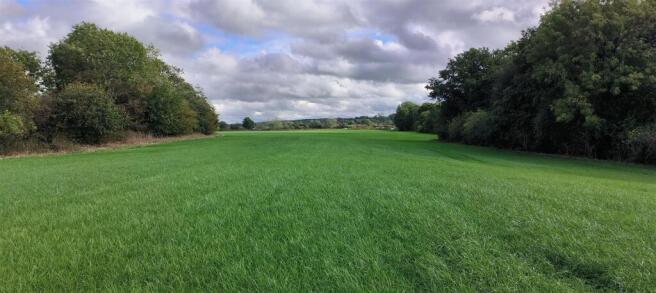 IMG20250918135657.jpg