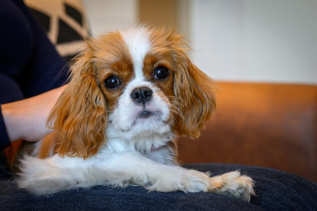 Additional image 14 of Belmont Row,
Birmingham,
B47RQ