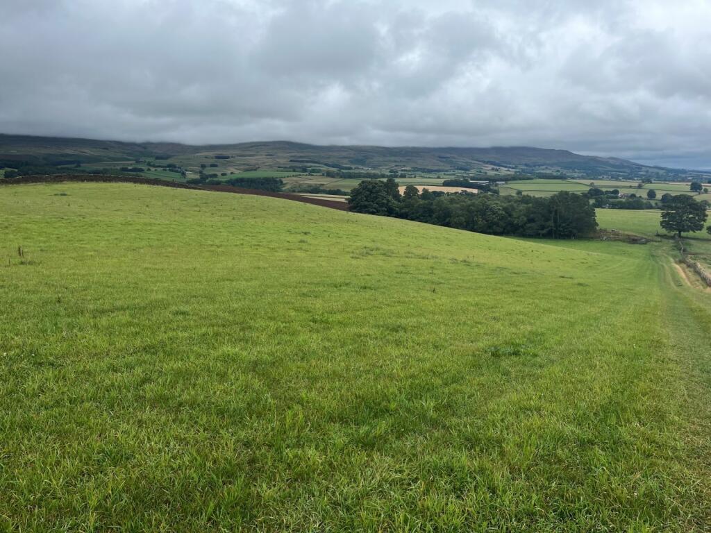 House in Carlisle - View 4
