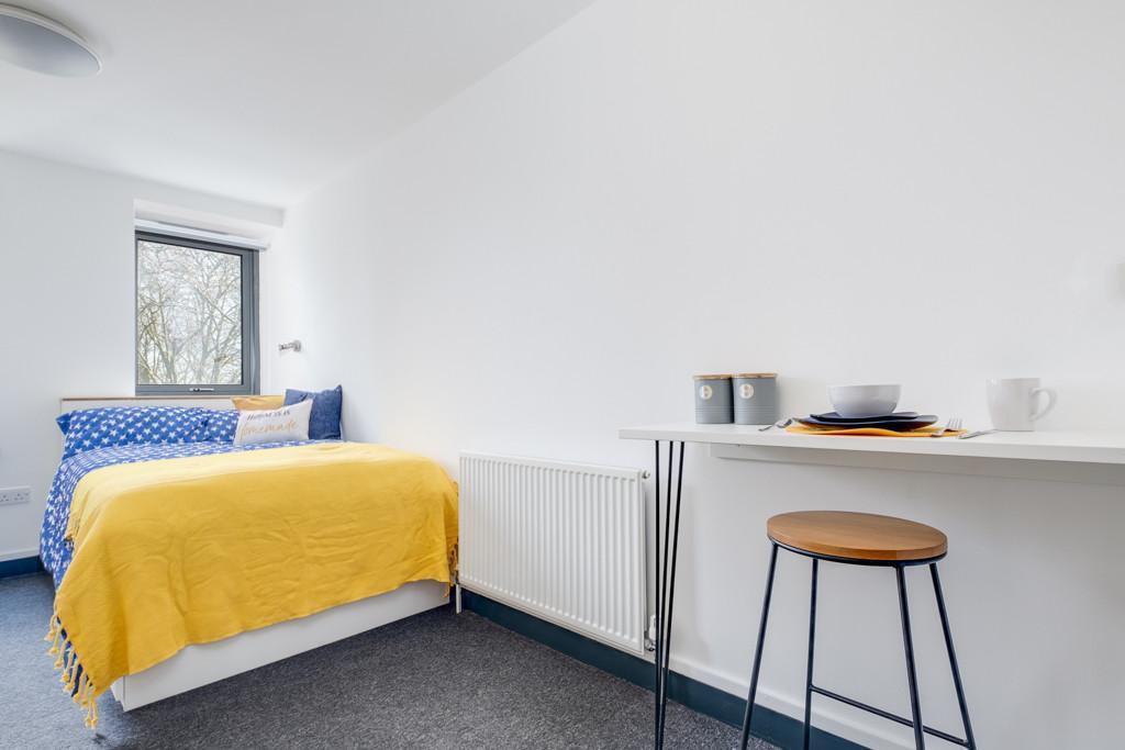 Studio flat for rent