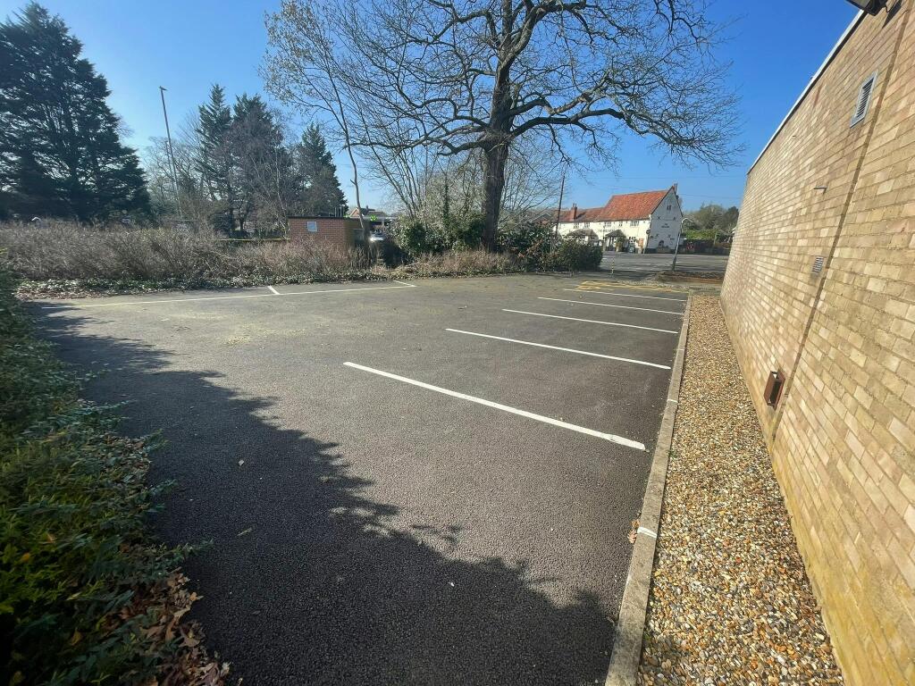 IMG_2007.JPEG