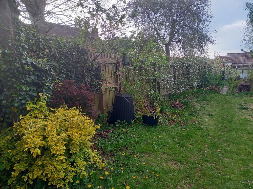 Additional image 24 of West Street, Warminster