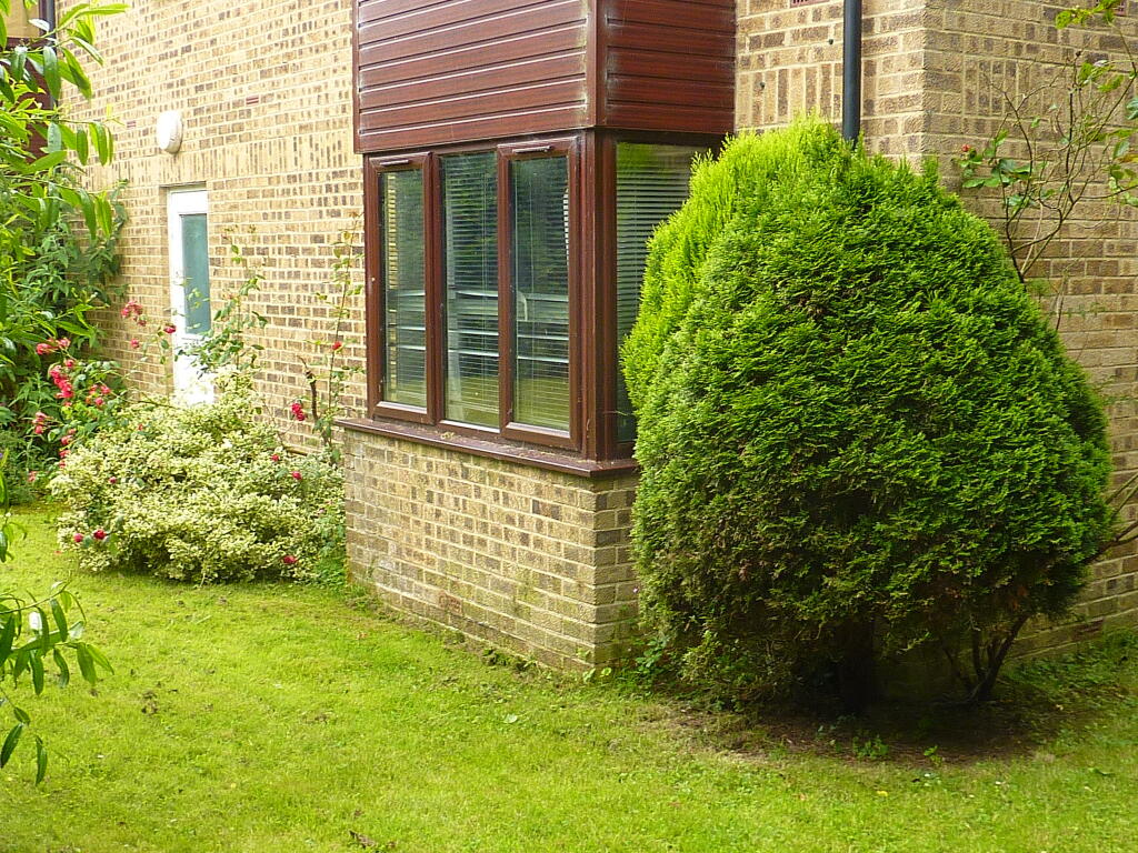 Property photo 6