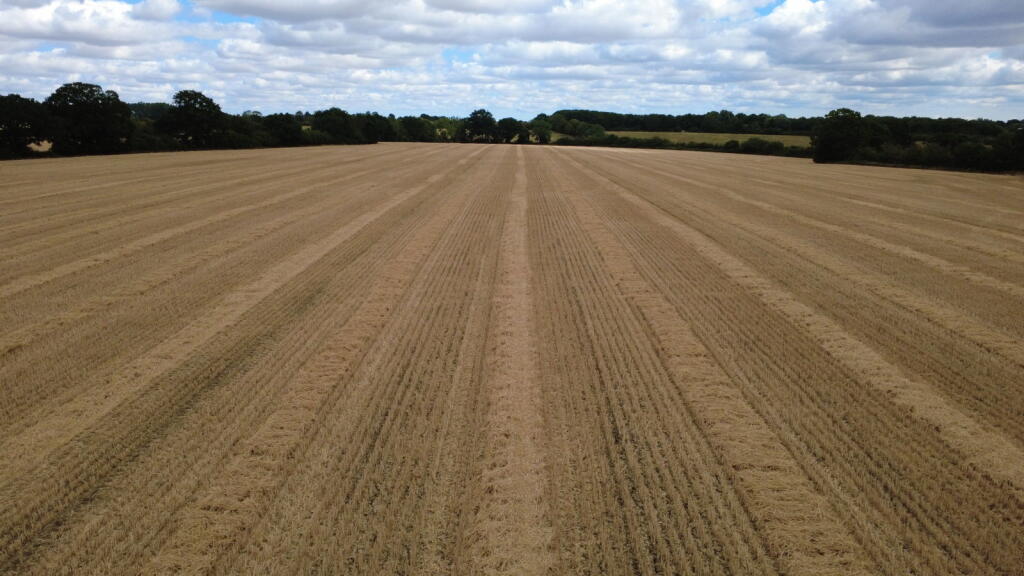 Linstead nr Halesworth - View 4