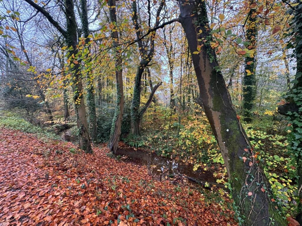 Main image of property: Approximately. 1.95 acres of Woodland Miskin, Pontyclun, CF72 8PE
