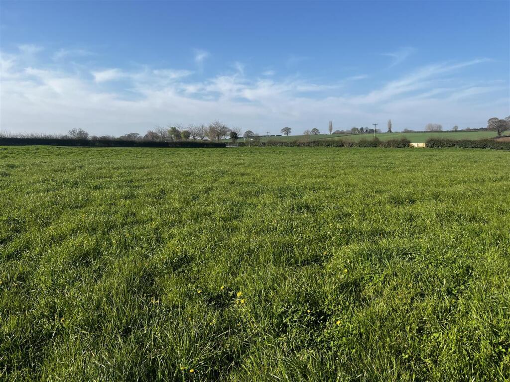 4.91 acres of Land at Score Ray Lane, Whixley, York - View 4