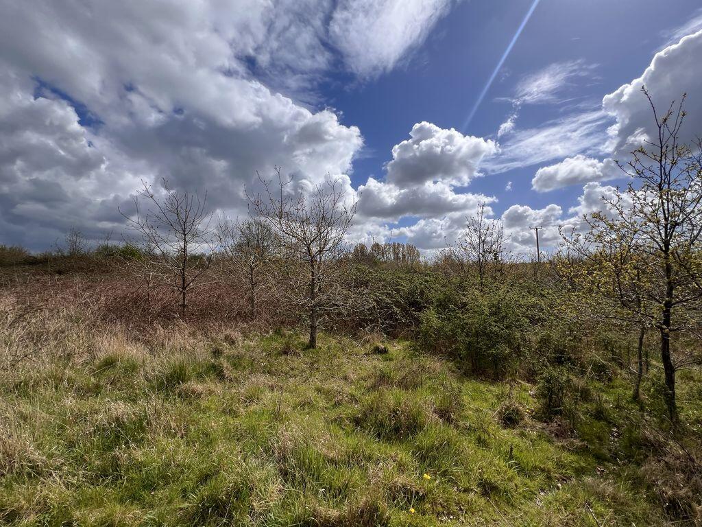 Main image of property: The Hollow, Pulborough