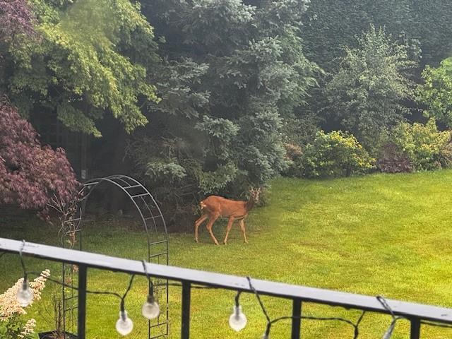 Additional image 56 of Mitton Avenue, Rossendale