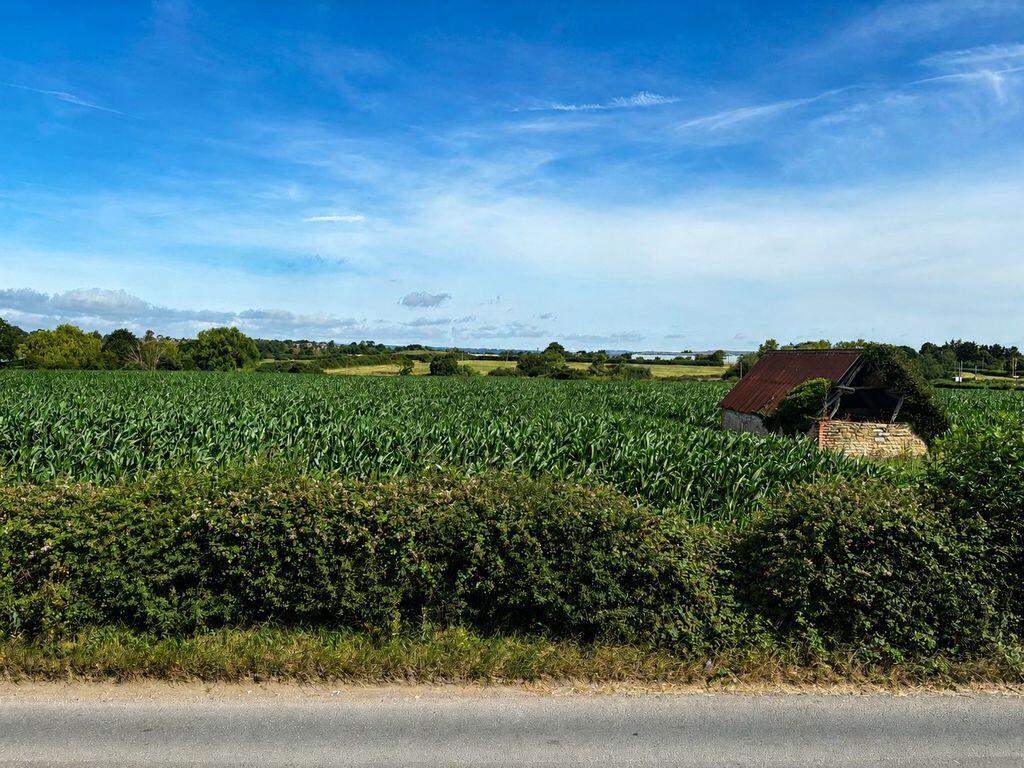 Madjeston photo 4