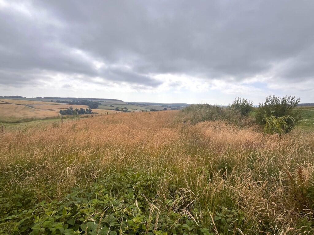 Main image of property: Building Plot at Netherwells, Jedburgh, TD8 6QU