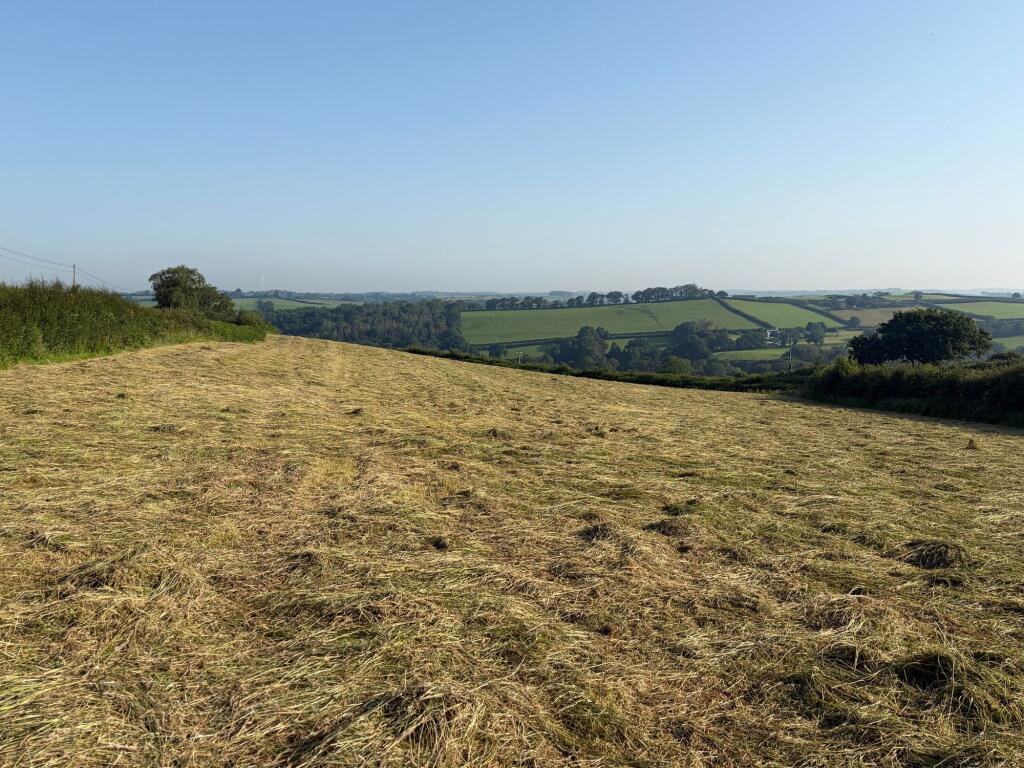 Main image of property: Whiteley, Lifton, PL16