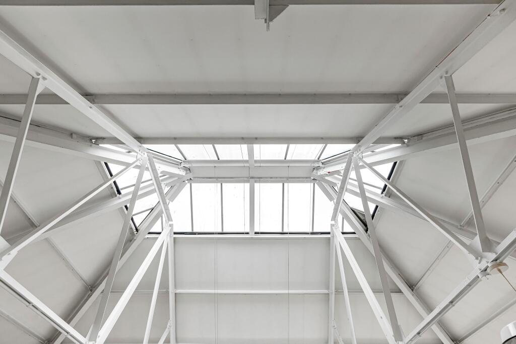 20_31646.jpg