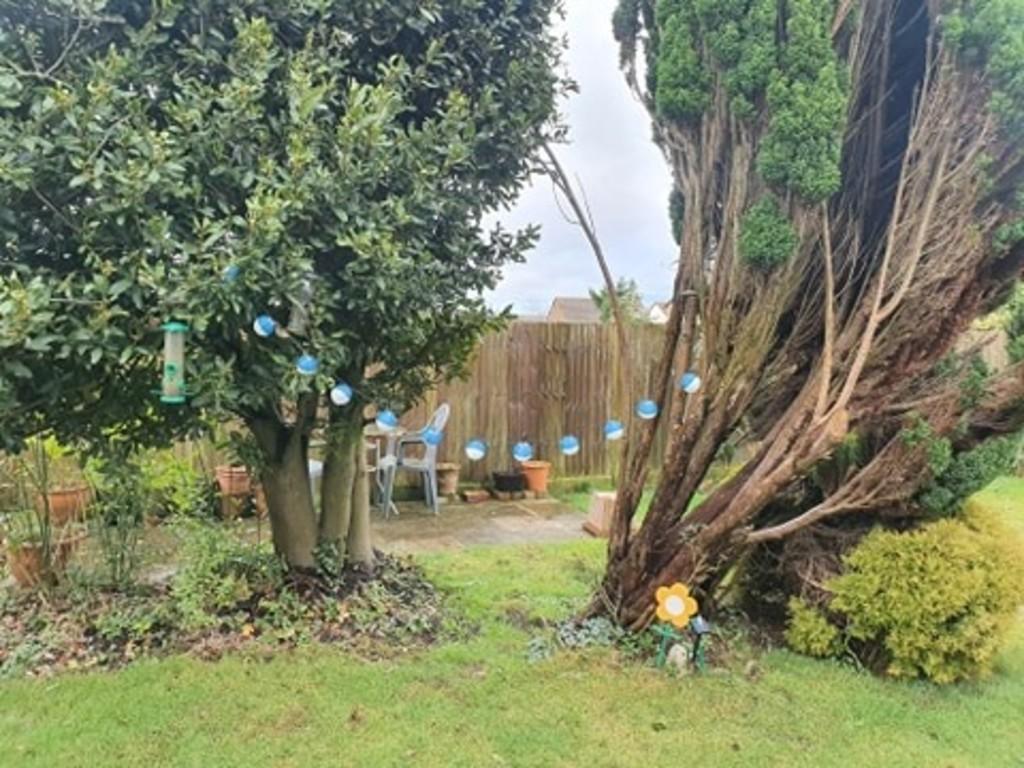 Photo of the property