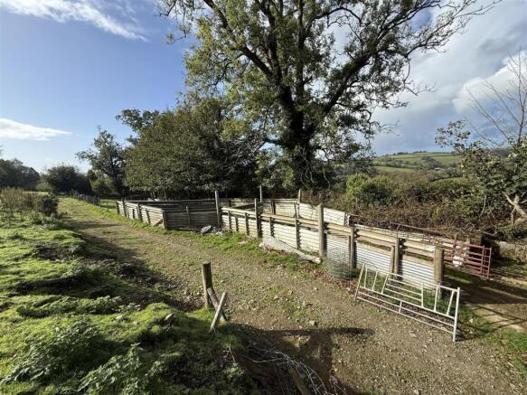 Sheep Handling System