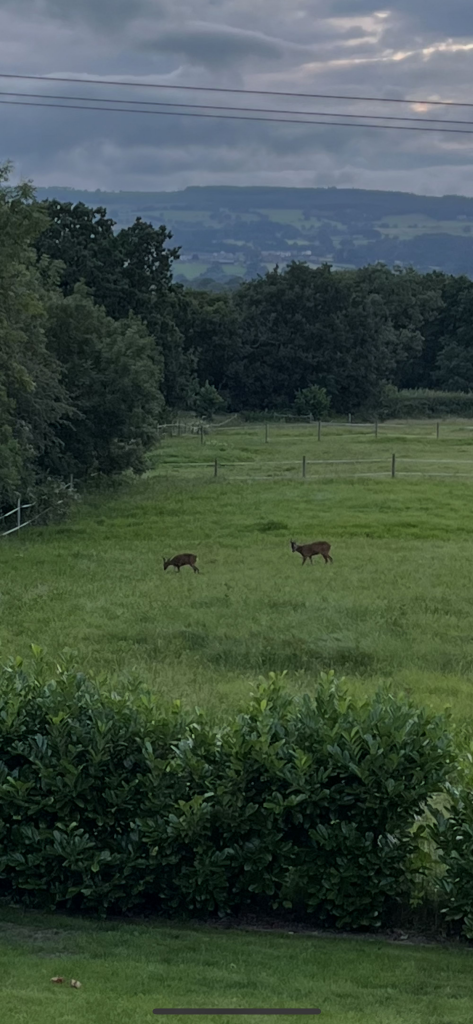 Additional image 51 of Whitehalgh Lane, Langho, BB6