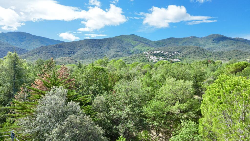 Main image of property: 66740 laroque-des-alberes